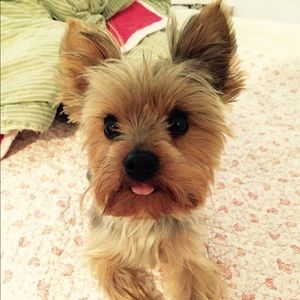 Meet your Posher, Arda